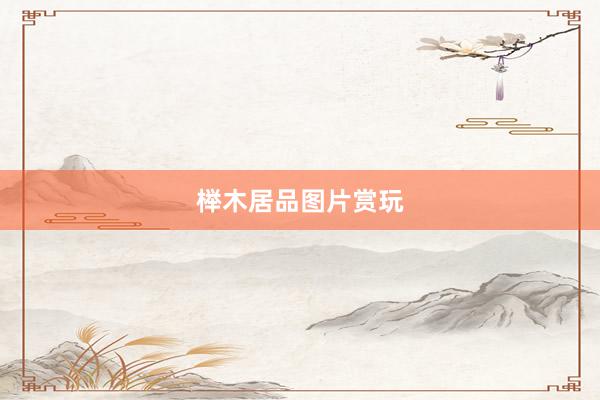 榉木居品图片赏玩